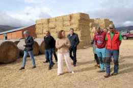 La Junta entrega 3.855.000 kilos de alimentos a 284 ganaderías afectadas por los incendios 