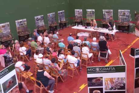 Montes de Soria califica de "éxito total" el Mycological Summer Tour