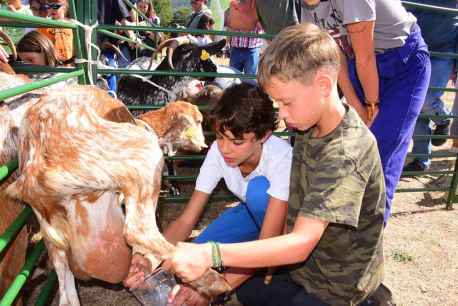 Vinuesa celebra la XXIV edición de su feria ganadera