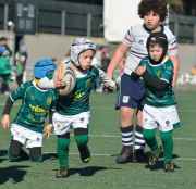 Los equipos del Club de Rugby Ingenieros de Soria inician la temporada 