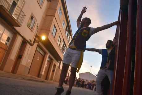 Encierro de reses bravas en las fiestas de Ólvega