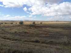 ASDEN denuncia vertidos de digestatos en la comarca del Moncayo soriano