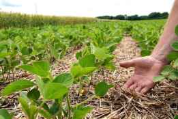 El Gobierno organiza curso online y presencial sobre agroganadería regenerativa