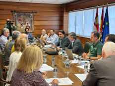 La Junta aborda co Mesa de la Madera necesidades del sector tras grandes incendios forestales
