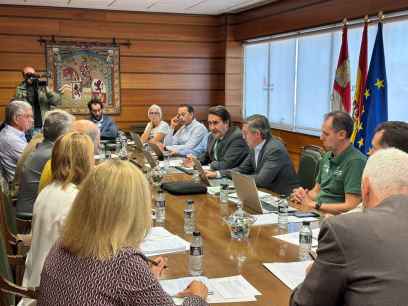La Junta aborda con Mesa de la Madera necesidades del sector tras grandes incendios forestales