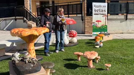 El Ayuntamiento presenta colección de ‘setas’ como nuevo recurso turístico 