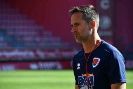 Abel Segovia: "Si el Madrid no compite, tampoco gana"