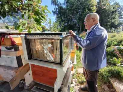 Las colmenas tradicionales de Burgos, un modelo para la innovación apícola en Europa