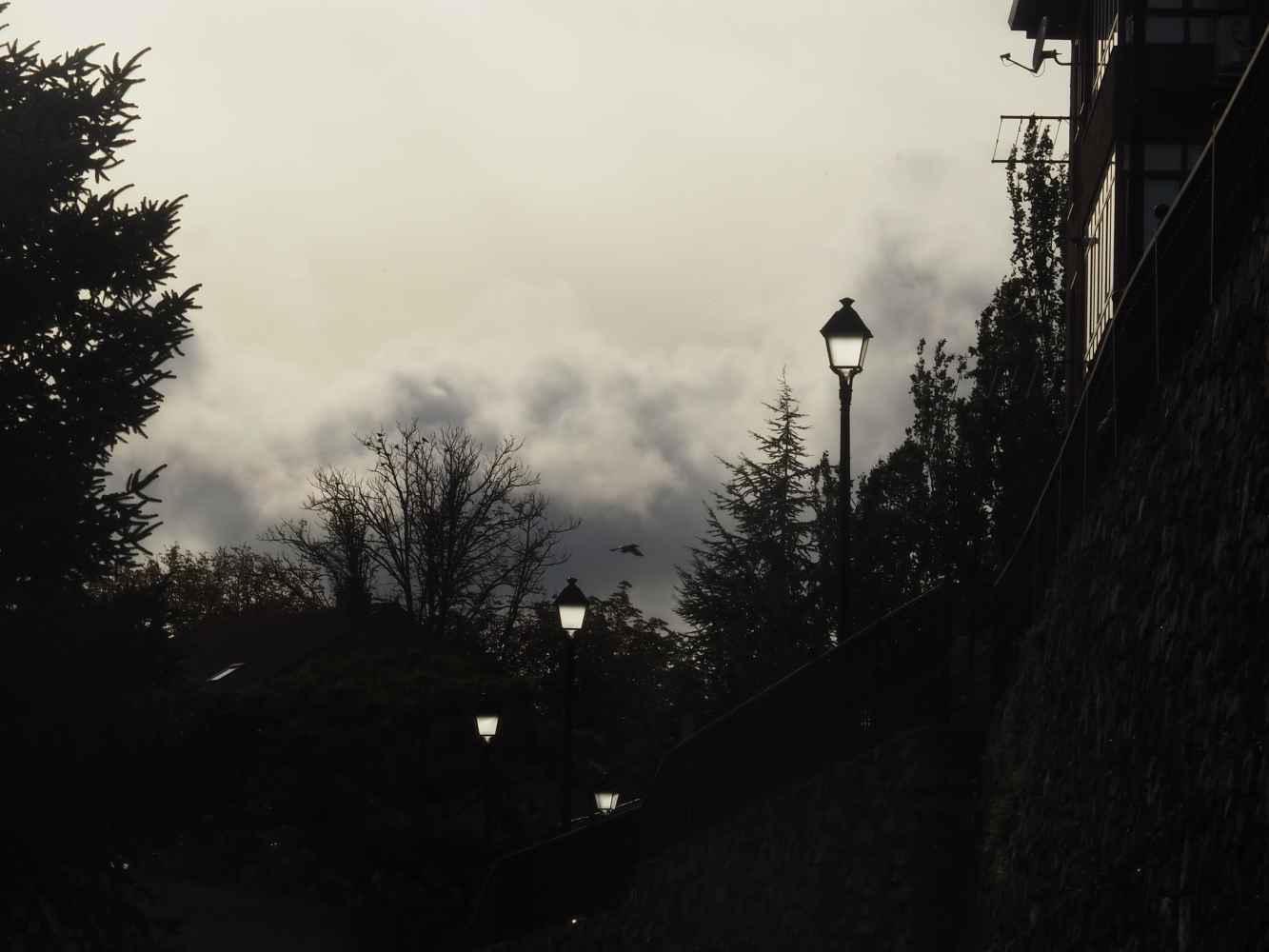 Ágreda celebra la octava edición de su rallye fotográfico