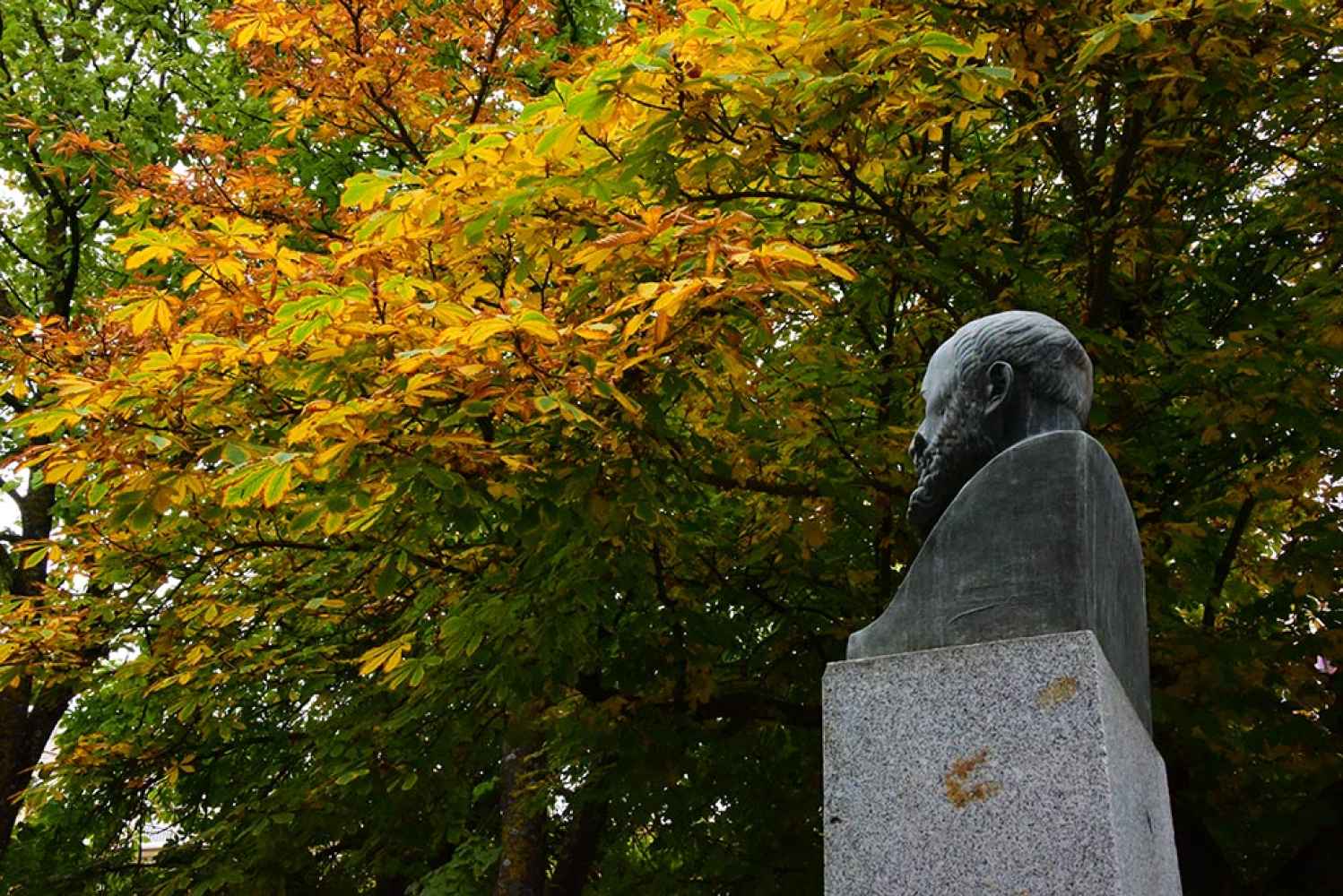 El otoño se adentra en los parques de Soria