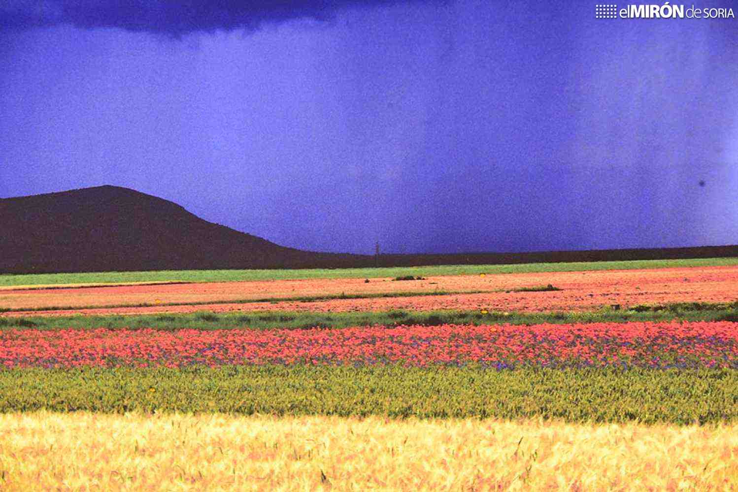 La Junta programa 30 actividades culturales en noviembre en la provincia