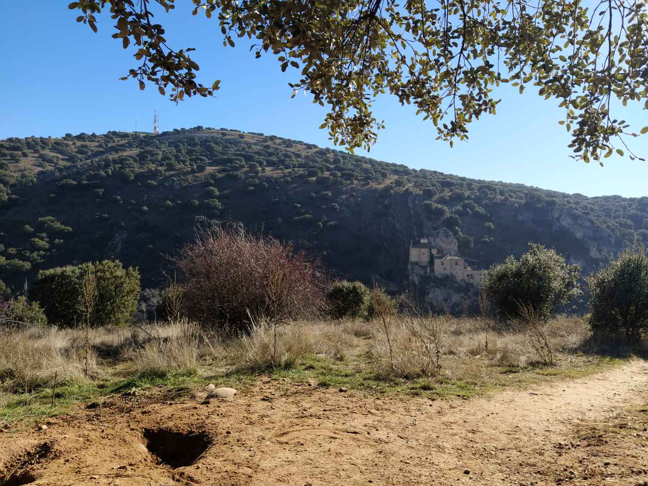 Alcalde, ¿Necesita votos?