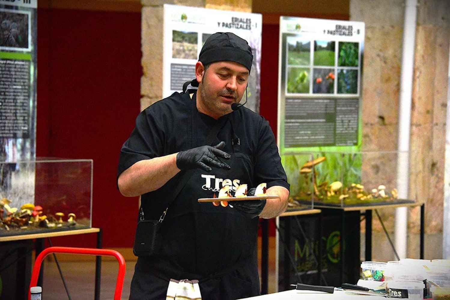 Micotour de otoño: taller de pasteleria micológica con "Tres chocolates", en El Burgo de Osma