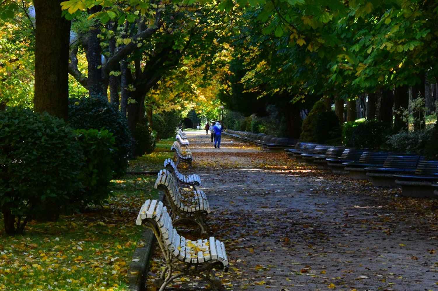 El otoño se apodera de la Dehesa de Soria