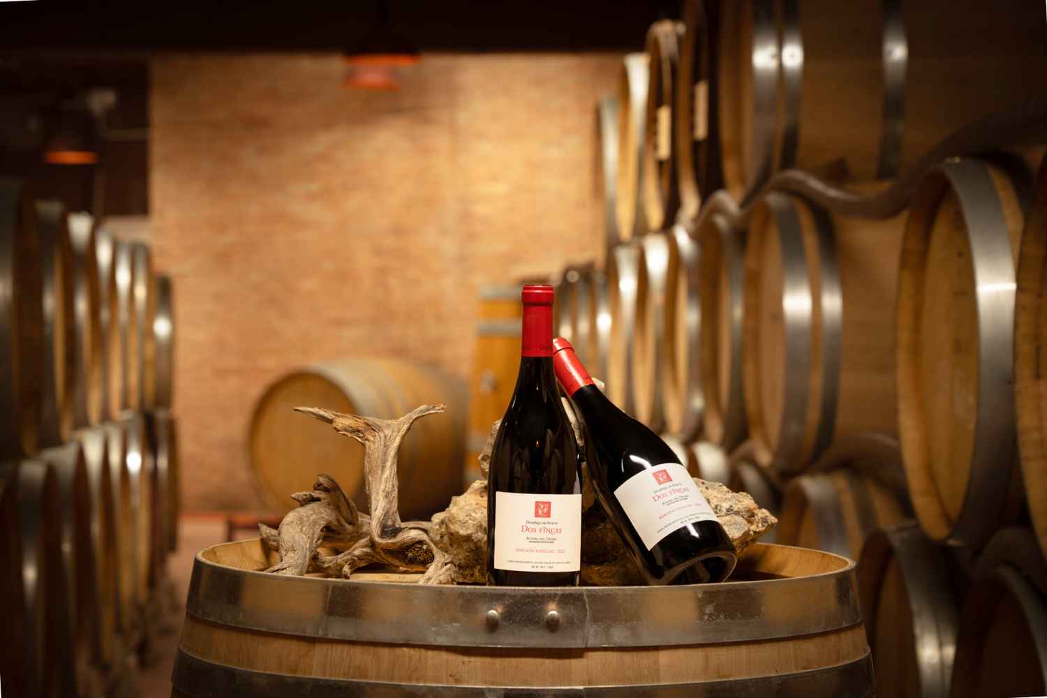Dominio de Atauta presenta su nuevo vino