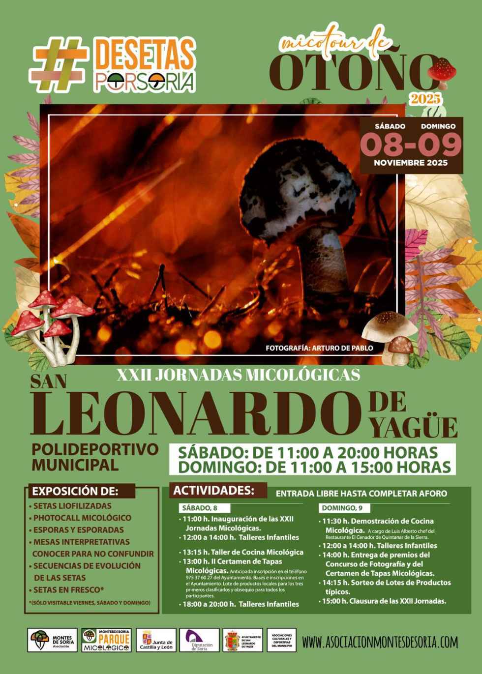 Lectura de un clásico de literatura soriana en San Leonardo de Yagüe