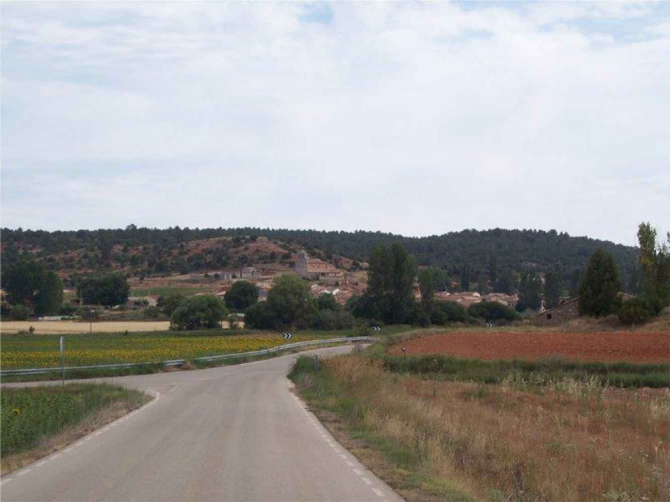 Valdenebro pide ayuda a la Junta para devolver la voz a sus montes