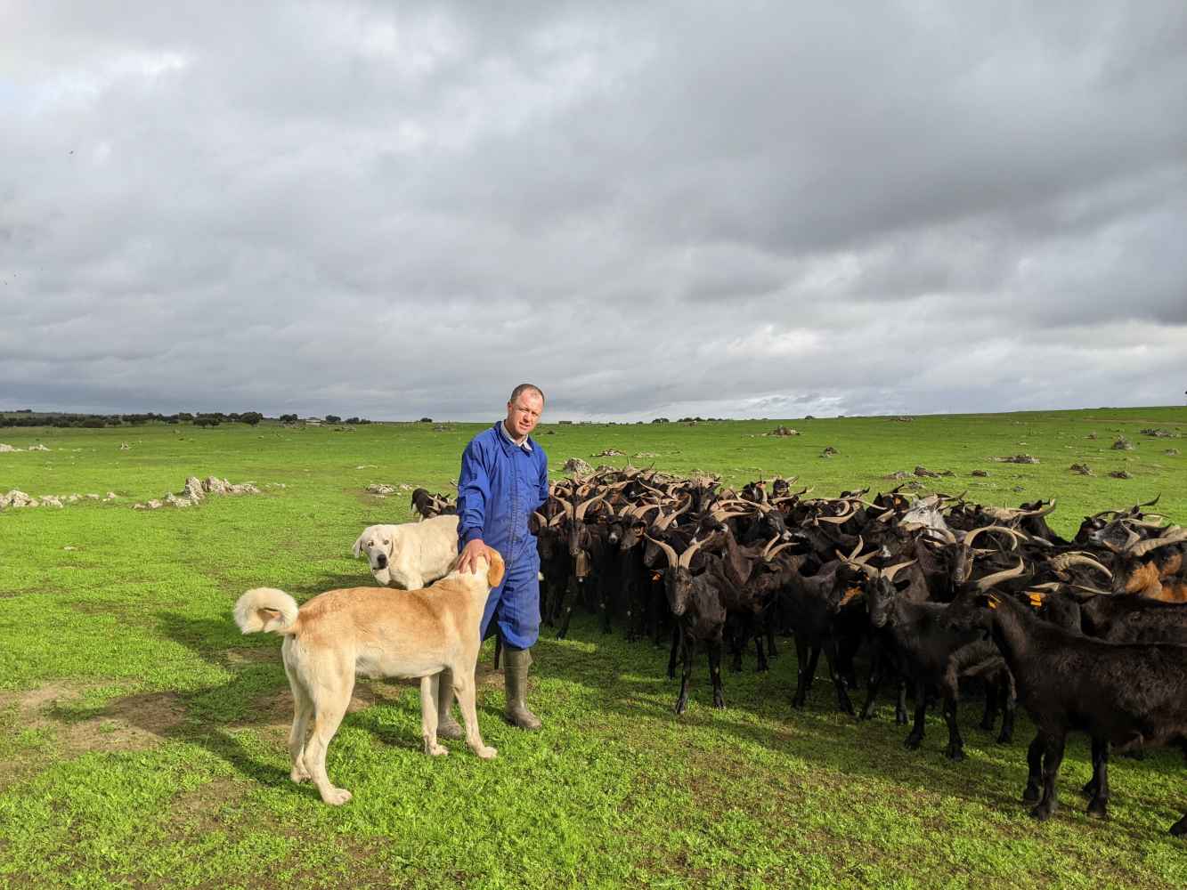 Pastorear más y mejor: ciencia, territorio y tradición para mantener vivo el paisaje rural Pastorear más y mejor: ciencia, territorio y tradición para mantener vivo el paisaje rural