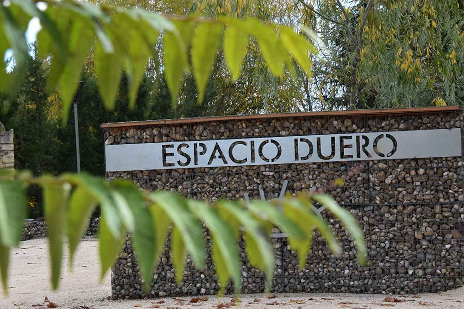 En torno al Ecomuseo Molino de los Ojos, en San Esteban de Gormaz