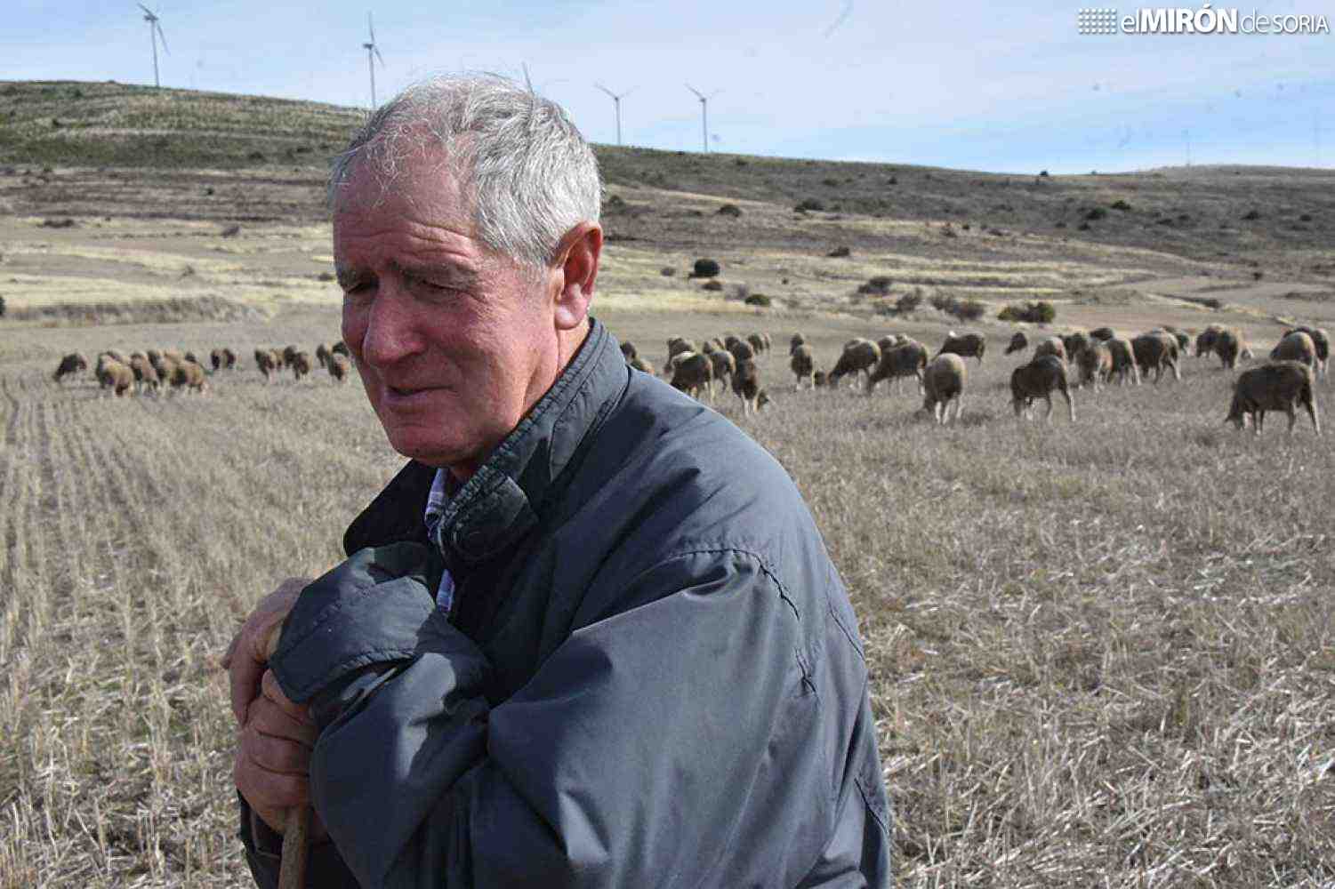 Los últimos trashumantes de Tierras Altas 
