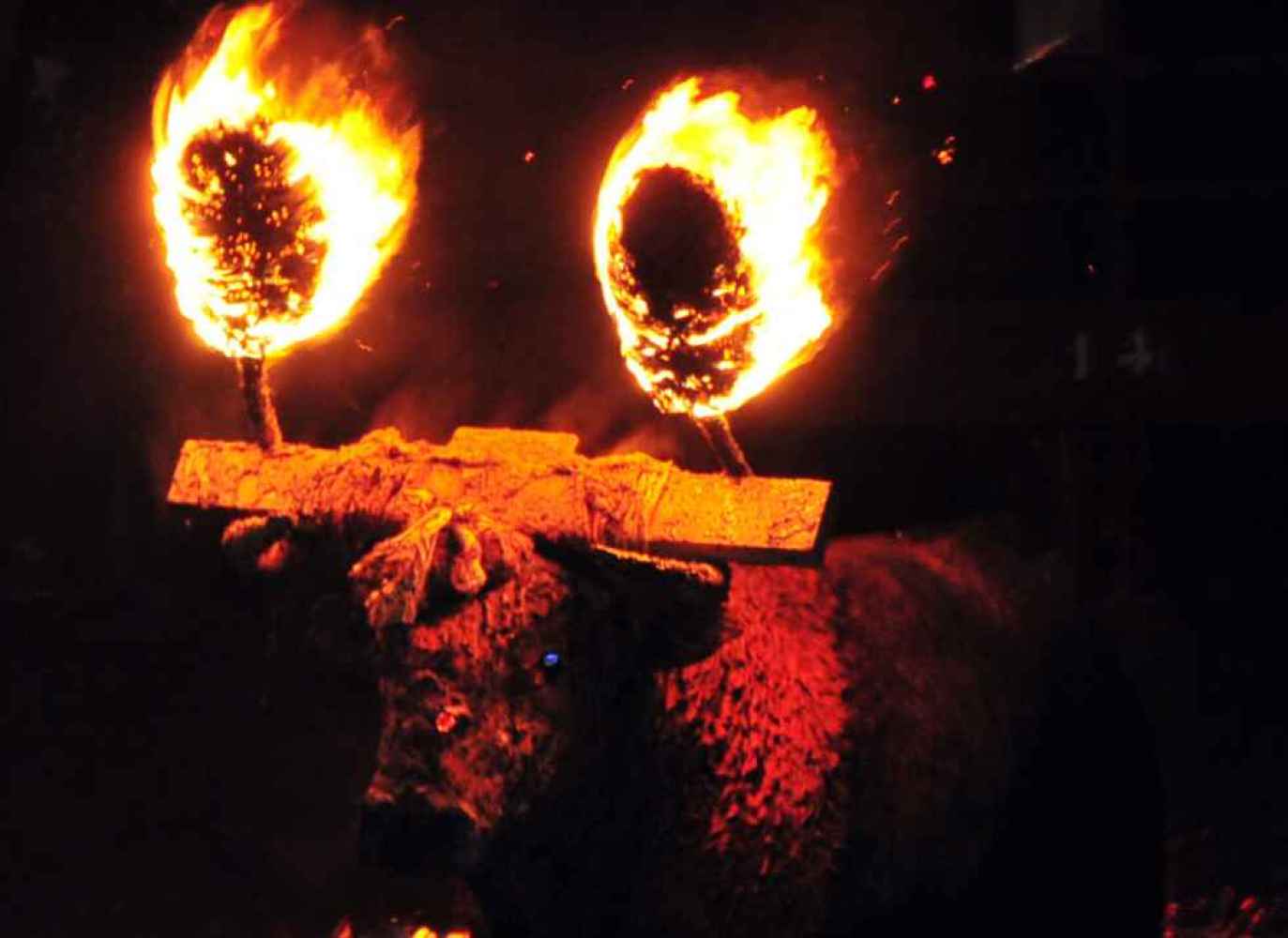 El Partido Popular impulsa una PNL para declarar BIC el Toro Jubilo de Medinaceli