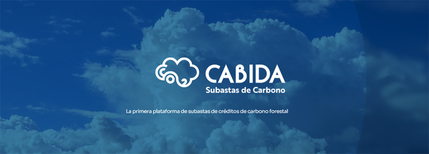 Cesefor presenta la primera plataforma de subastas de créditos de carbono forestal