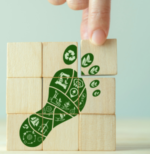 Jornada informativa en FOES sobre huella de carbono impartida por Gesforma