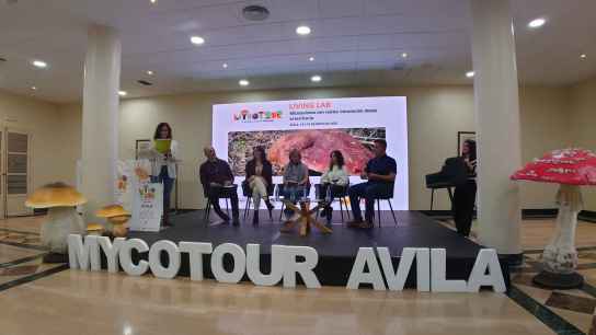 El Instituto Europeo de Micología refuerza su dimensión internacional con hoja de ruta para 2026 El Instituto Europeo de Micología refuerza su dimensión internacional con hoja de ruta para 2026