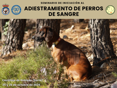 Seminario de Iniciación al Adiestramiento de Perros de Sangre en Castillejo de Robledo Seminario de Iniciación al Adiestramiento de Perros de Sangre en Castillejo de Robledo