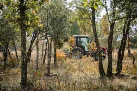 ASFOSO propone a la Junta incentivos fiscales para cuidado de montes ASFOSO propone a la Junta incentivos fiscales para cuidado de montes