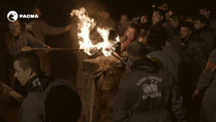 PACMA volverá a concentrarse en Medinaceli para exigir abolición del toro jubilo