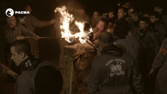 PACMA volverá a concentrarse en Medinaceli para exigir abolición del toro jubilo PACMA volverá a concentrarse en Medinaceli para exigir abolición del toro jubilo