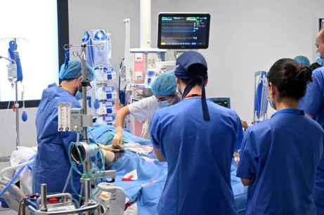 Castilla y León suma 94 donantes de órganos y 327 trasplantes entre enero y septiembre 