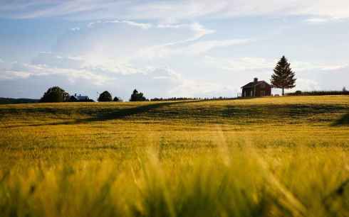 Ubi sunt los salvadores rurales?