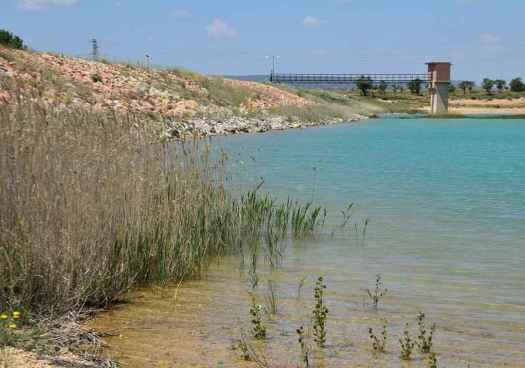 El embalse de Monteagudo supera el 80 por ciento de su capacidad