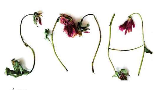 Clara Valverde Gefaell abre la XIX Semana de la Memoria Histórica