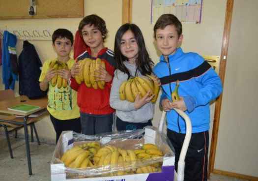 Los colegios pueden unirse a campaña regional  de promoción del consumo de frutas, hortalizas y leche 