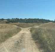 Diputación arreglará 120 caminos rurales en su Plan de Conservación y Mejora
