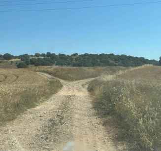 Diputación arreglará 120 caminos rurales en su Plan de Conservación y Mejora