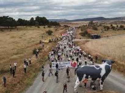 Satisfacción en Podemos Soria por sentencia del Supremo que frena macrovaquería de Noviercas