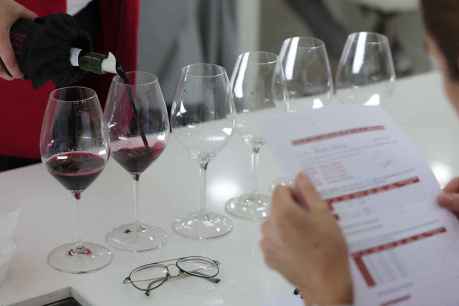 Un comité de reconocidos expertos colabora en Calificación de la Añada 2024 de Ribera del Duero