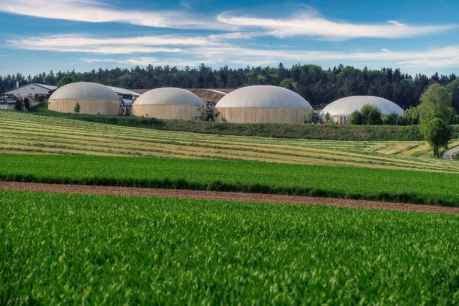 Sometida a información pública el proyecto de planta de biogás en San Esteban de Gormaz Sometida a información pública el proyecto de planta de biogás en San Esteban de Gormaz