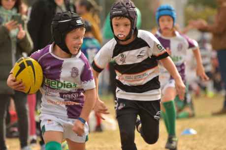 La Escuela Trebia y los equipos sénior del Ingenieros debutan en Zaragoza