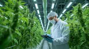 Ondara firma primer contrato comercial para vender cannabis medicinal en Alemania