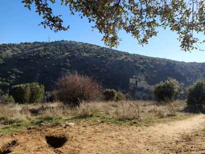 Alcalde, ¿Necesita votos?