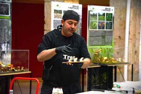 Micotour de otoño: taller de pasteleria micológica con  Micotour de otoño: taller de pasteleria micológica con