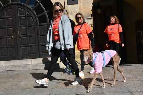 Soria vuelve a caminar contra el cáncer (y III) Soria vuelve a caminar contra el cáncer (y III)