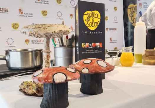 Las XXIV Jornadas Micológicas Buscasetas-Tierra de Sabor se desarrollan en 121 restaurantes Las XXIV Jornadas Micológicas Buscasetas-Tierra de Sabor se desarrollan en 121 restaurantes