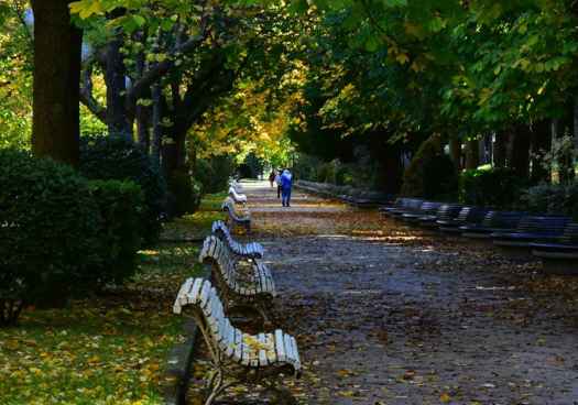 El otoño se apodera de la Dehesa de Soria El otoño se apodera de la Dehesa de Soria