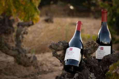 Dominio de Atauta presenta su nuevo vino 